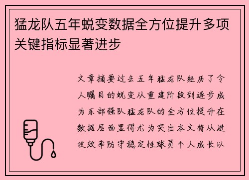 猛龙队五年蜕变数据全方位提升多项关键指标显著进步
