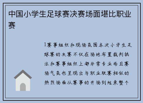 中国小学生足球赛决赛场面堪比职业赛