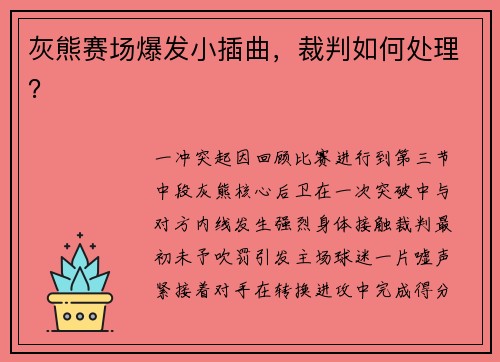 灰熊赛场爆发小插曲，裁判如何处理？